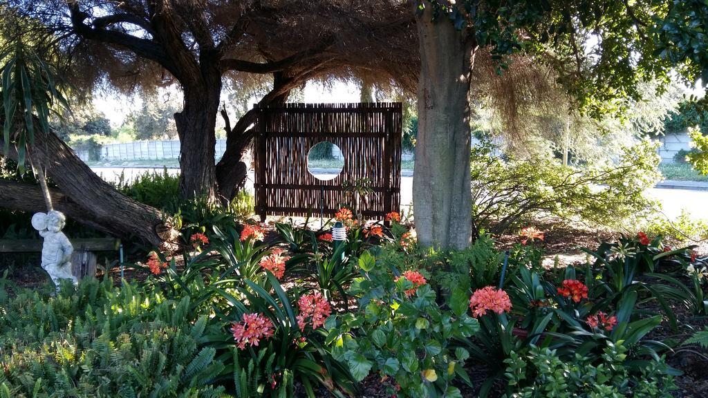 בלוויל Old Oak Guest House מראה חיצוני תמונה